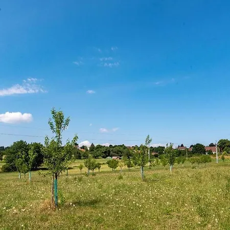 Holiday home Chalupa Milesin