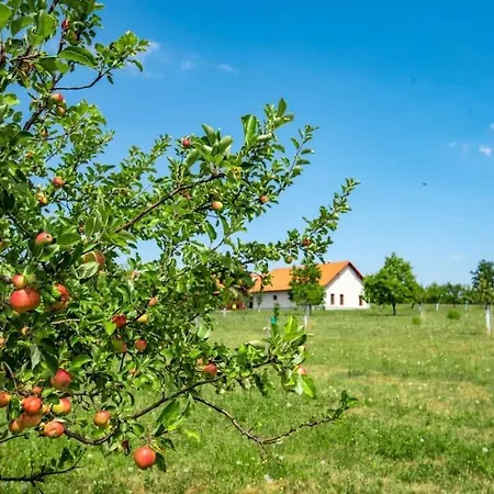 Tatil Evi Chalupa Milesin