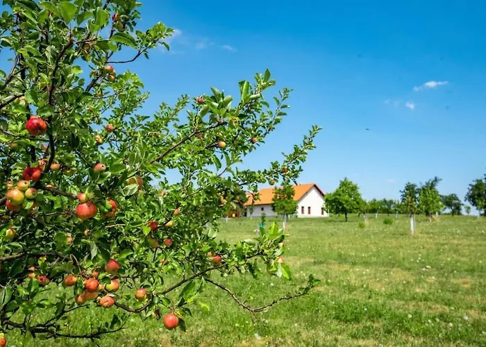 Prázdninový dům Chalupa Milesin